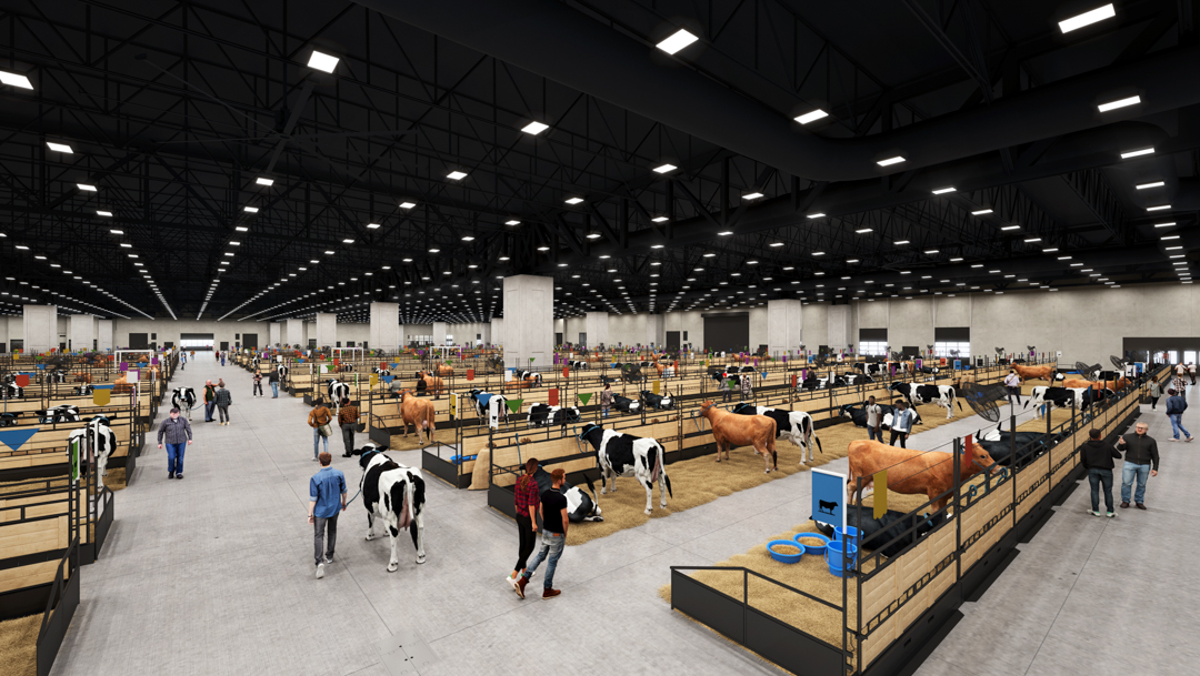 Livestock Event in Exhibition Hall